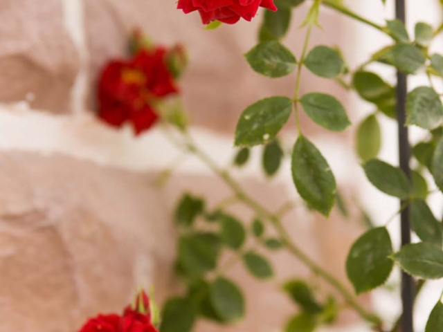 Gruß aus Baden-Baden