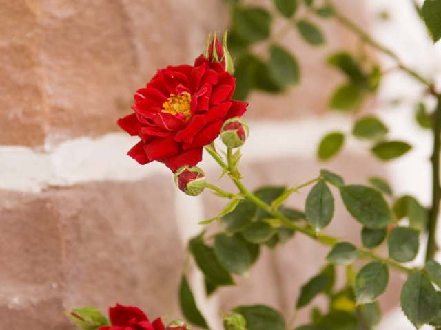 Gruß aus Baden-Baden