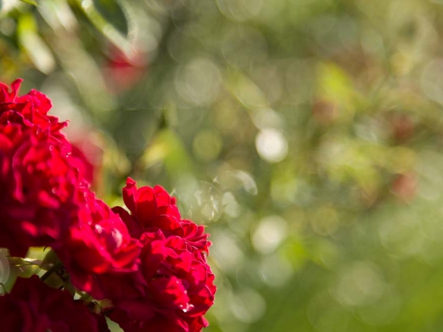 Gruß aus Baden-Baden