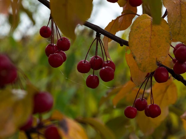 Herbst in der Villa Belveder