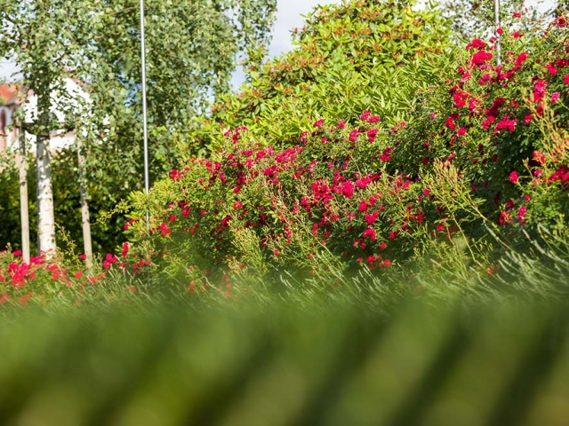 Gruß aus Baden-Baden