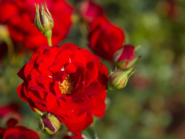 Gruß aus Baden-Baden