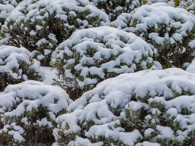 Winter in der Villa Belveder