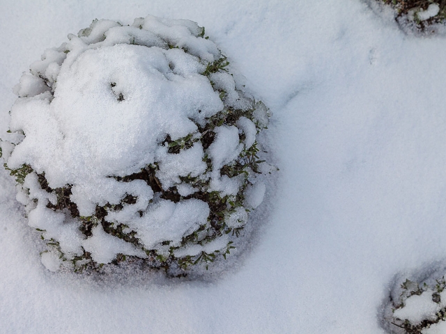 Winter in der Villa Belveder
