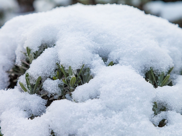 Winter in der Villa Belveder