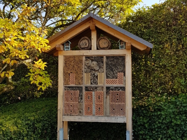 Bienenweide in der Villa Belveder Bienenweide in der Villa Belveder