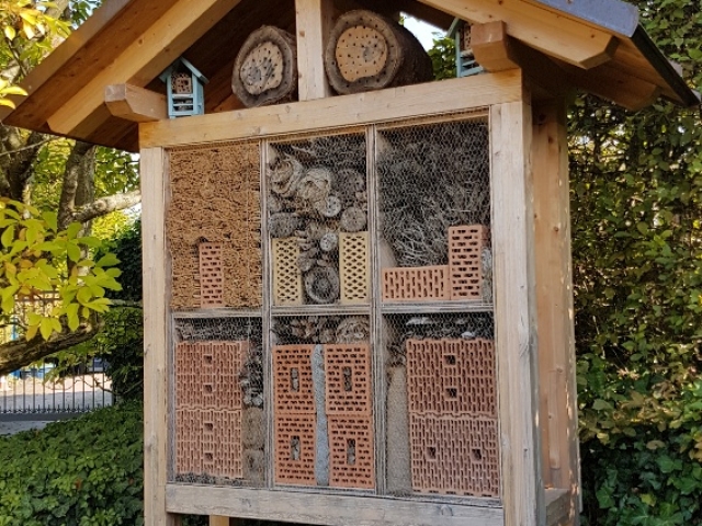 Bienenweide in der Villa Belveder Bienenweide in der Villa Belveder