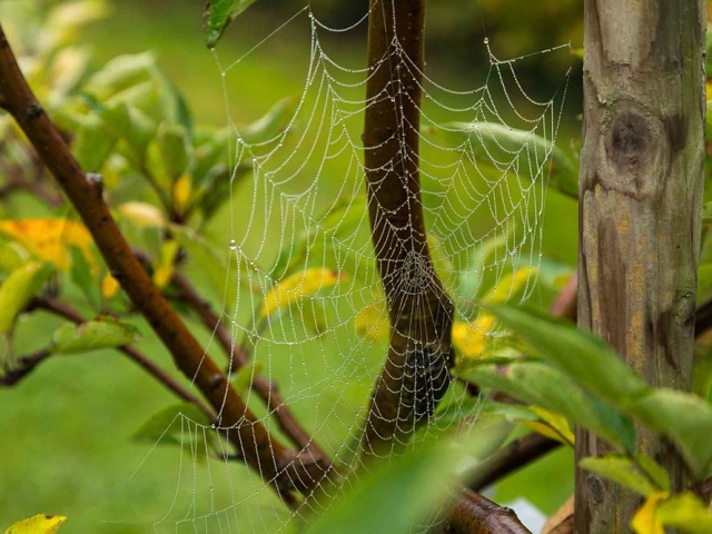 Herbst in der Villa Belveder