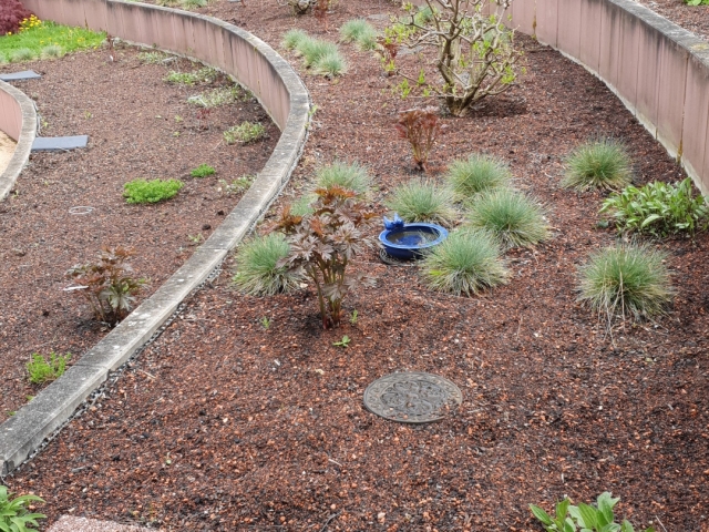 Bienenweide im Atrium Bienenweide im Atrium