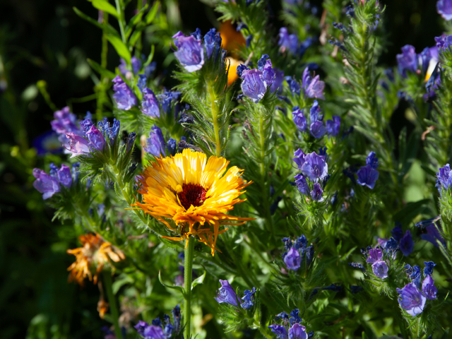 Sommer in der Villa Belveder Sommer in der Villa Belveder