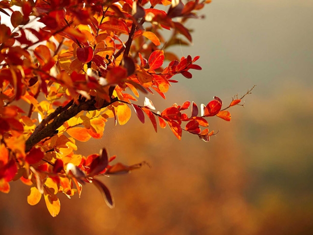 Herbst in der Villa Belveder