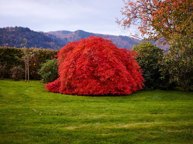 Herbst in der Villa Belveder