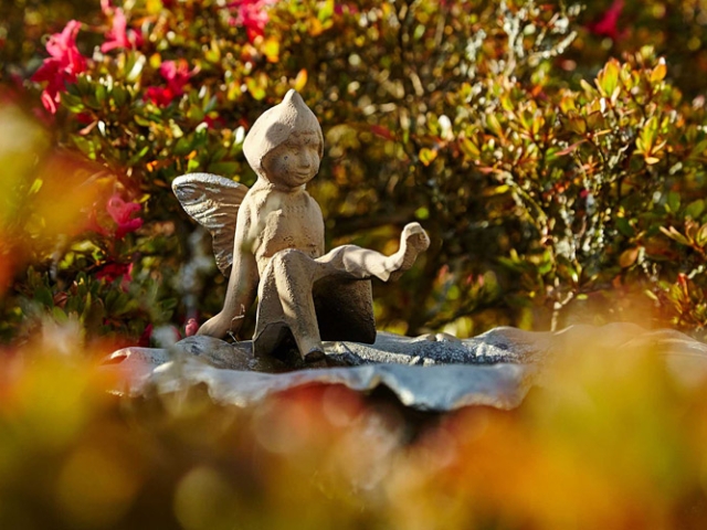 Herbst in der Villa Belveder