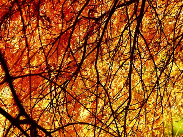 Herbst in der Villa Belveder