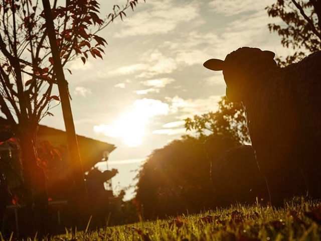 Herbst in der Villa Belveder