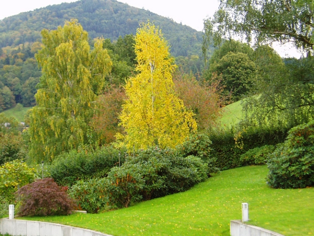 Herbst in der Villa Belveder