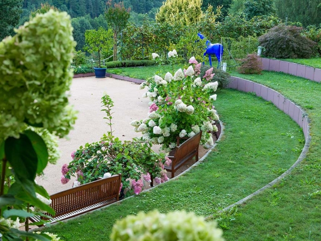 Rispenhortensie Hortensien