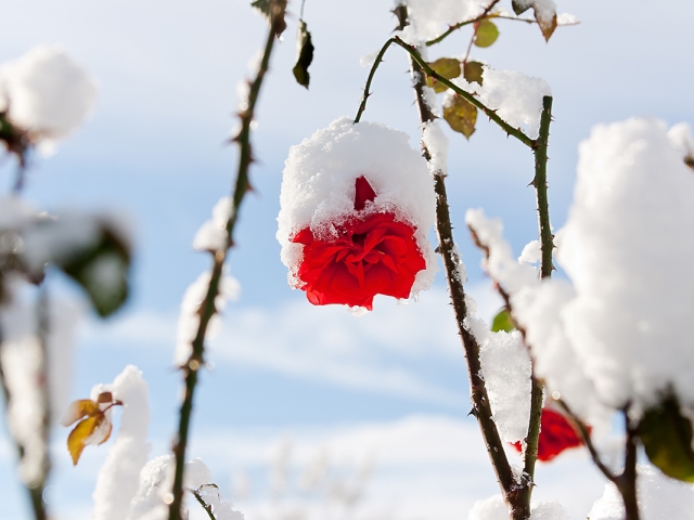 Winter in der Villa Belveder