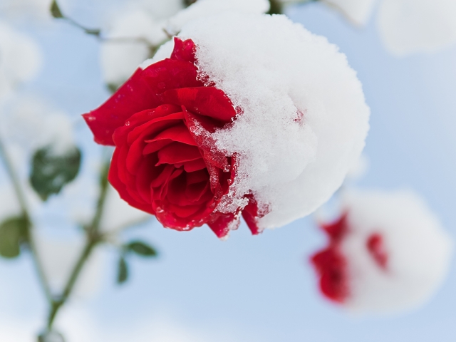 Winter in der Villa Belveder