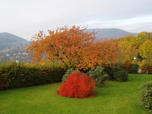 Herbst in der Villa Belveder