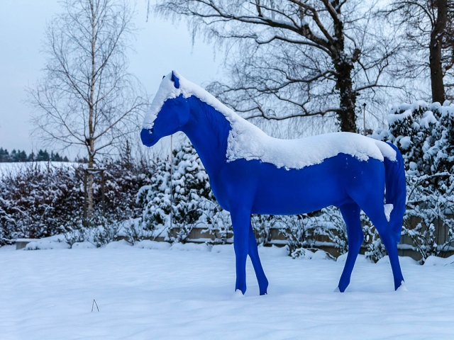 Winter in der Villa Belveder