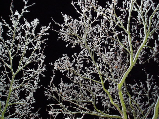 Winter in der Villa Belveder